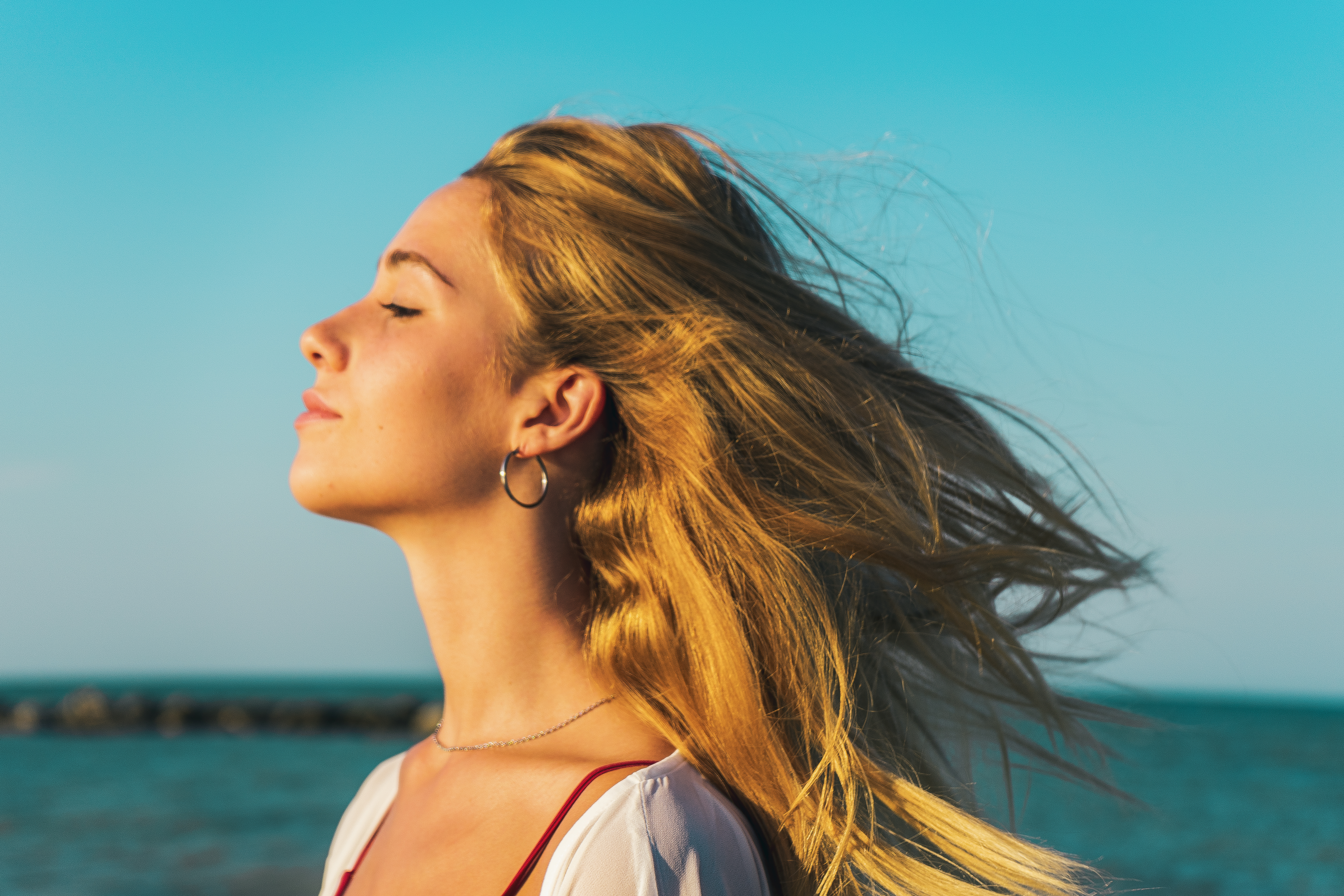 Creatore di Contenuti