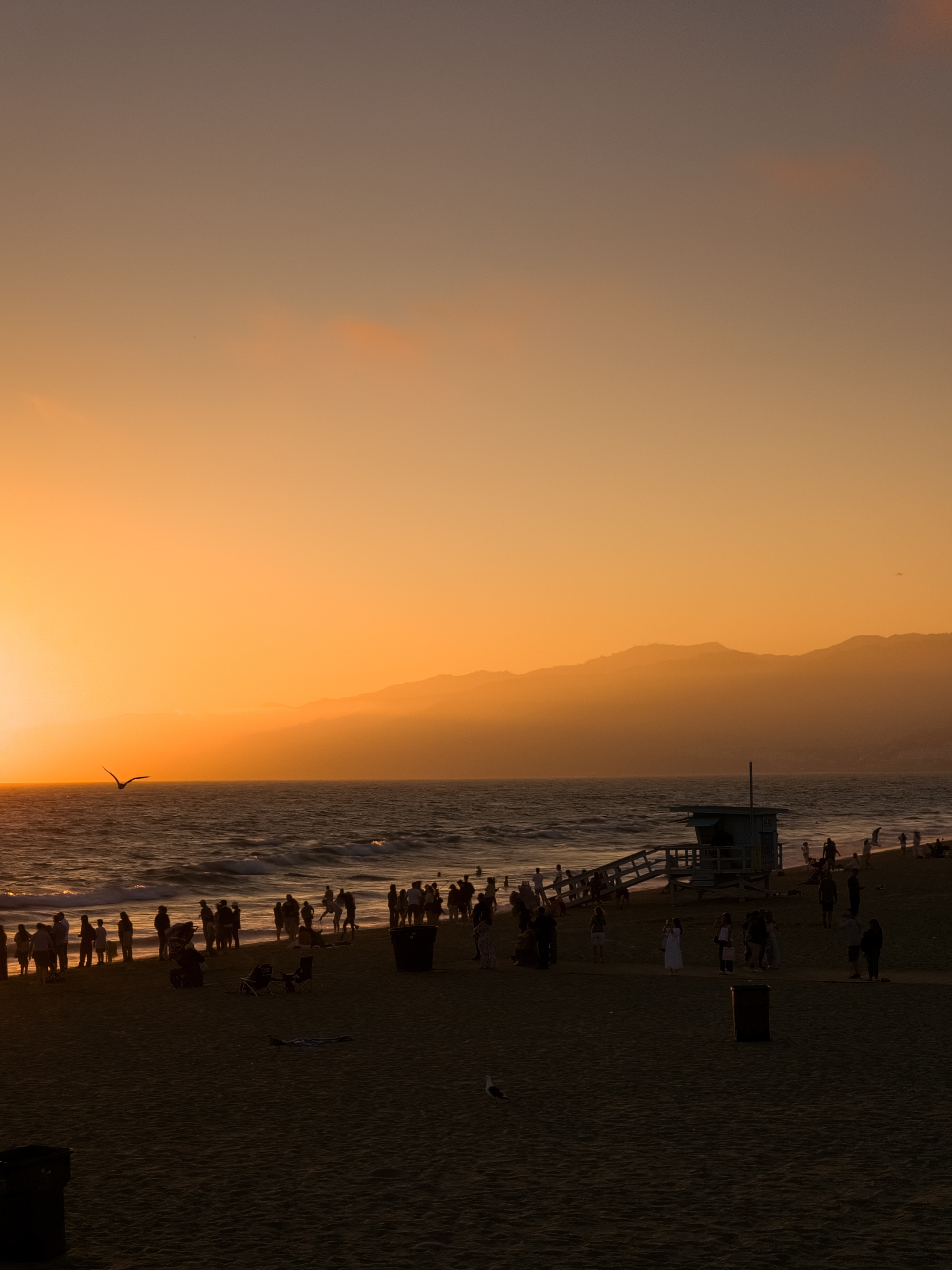 L'iconica spiaggia sabbiosa di Los Angeles.